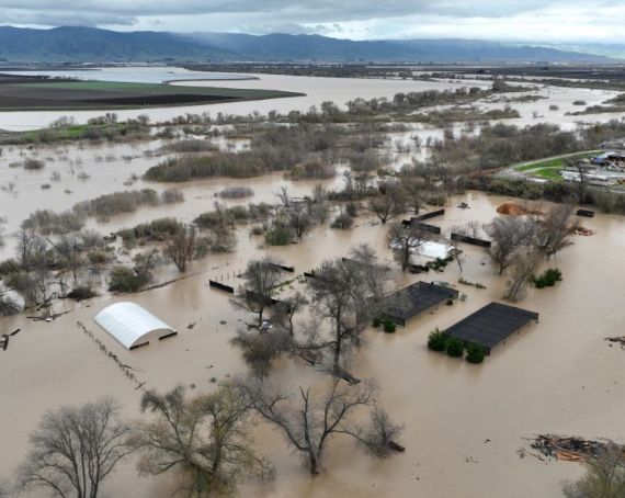flood.jpg